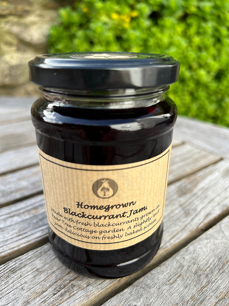 <span class="light">Blackcurrant</span> Jam