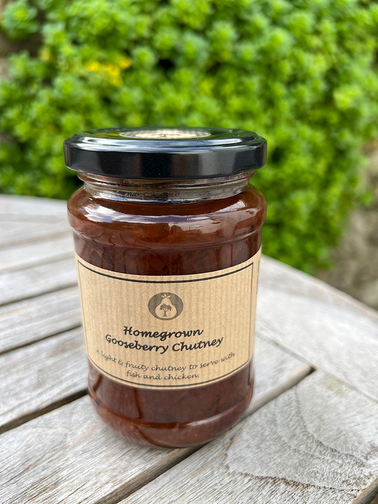 <span class="light">Gooseberry</span> Chutney