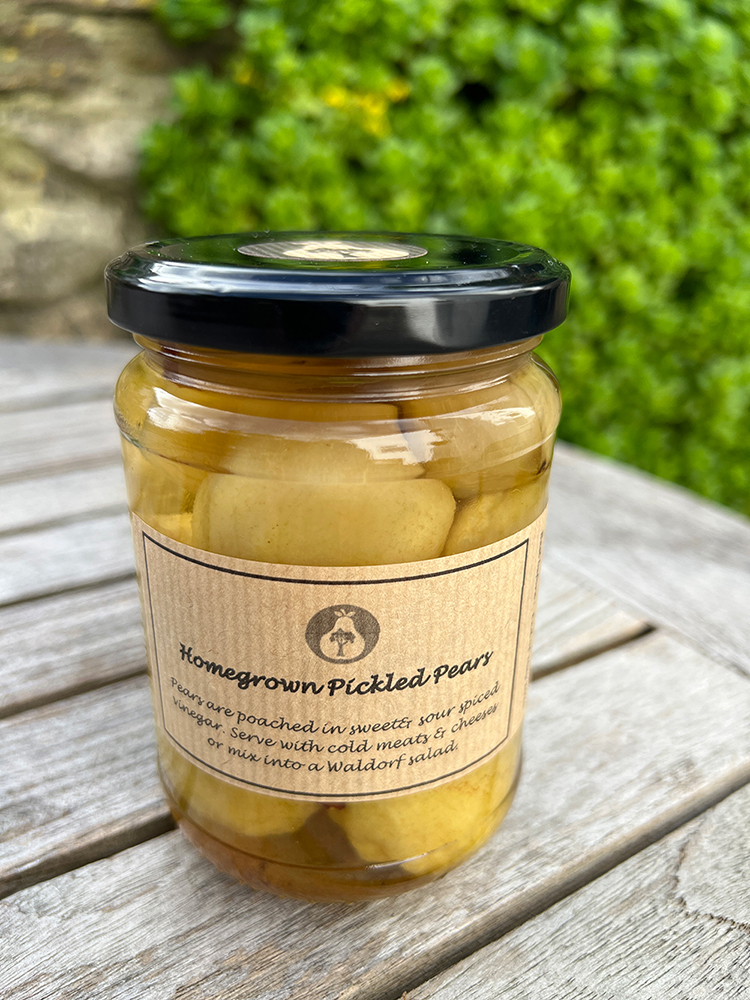 <span class="light">Pickled</span> Pears